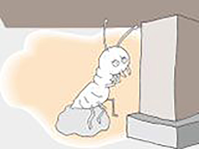 シロアリイメージ